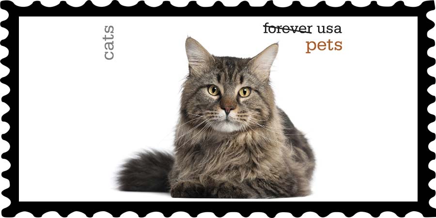 Funny Motivational Speaker goes to the Post Office funny motivational speaker Funny Motivational Speaker goes to the Post Office cat stamp
